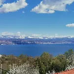 Orhideja