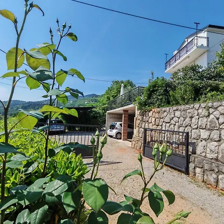 Orhideja Apartman *